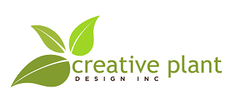 Creative Plant