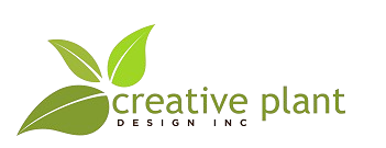 Creative Plant